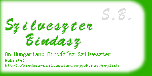 szilveszter bindasz business card